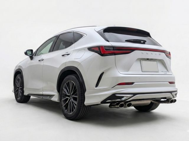 New Product Release!
EXART ONE Exhaust for LEXUS NX250 is finally here.

With this release, we now have a complete exhaust lineup for the NX350, NX350h, NX450h+, and now the NX250!

JQR Certified (Road Legal in Japan)
Compatible with both Modellista Aero & Standard Bumpers
4 Tail Tip Options: Stainless / Titanium / Graphite / Carbon

The photos show the Stainless tail option.
Worldwide shipping is available. Please feel free to contact us!

新製品発売のお知らせです！
レクサスNX250用 EXART ONEマフラーを発売開始しました。

すでに発売中のNX350、NX350h、NX450h+用に続き、ついにNX250用が完成。これで現行NXシリーズの全ラインナップが出揃いました！

もちろんJQR認証取得済みで車検も安心。
写真はモデリスタエアロ装着車ですが、ノーマルバンパーにも対応しています。

テールエンドは「ステンレス」「チタン」「グラファイト」「カーボン」の4種類からオーダー時に選択可能です。（写真はステンレステール）

NX250オーナーの皆様、お問い合わせお待ちしております！

#exart_japan #exart